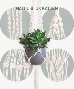 Gadgy Plantenhanger Macramé 3 Stuks - Luxe Gevlochten Touw Katoen - Plantenpot Ophangen - Hangpot -Tuinwinkel Voor Buitenartikelen 1000x1200 7