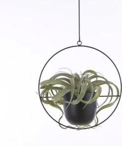 Mica Decorations Dexter Bloempot Hangend - L34 X B14 X H65 Cm - Zwart 12 Mica Decorations Dexter Bloempot Hangend - L34 X B14 X H65 Cm - Zwart -Tuinwinkel Voor Buitenartikelen 1002x1200 1