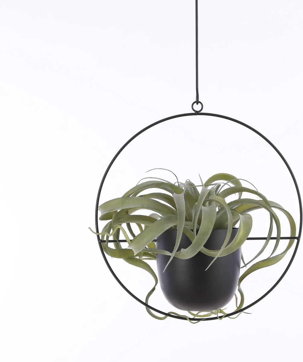 Mica Decorations Dexter Bloempot Hangend - L34 X B14 X H65 Cm - Zwart 6 Mica Decorations Dexter Bloempot Hangend - L34 X B14 X H65 Cm - Zwart - Afbeelding 6