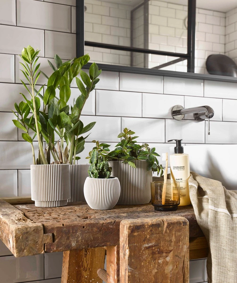 Capi Europe - Set Van 4 - Bloempot Binnen - Groove - - Ivoor - Bloempot Voor Binnen - BOX-BGVI-4 3 Capi Europe - Set Van 4 - Bloempot Binnen - Groove - - Ivoor - Bloempot Voor Binnen - BOX-BGVI-4 - Afbeelding 3