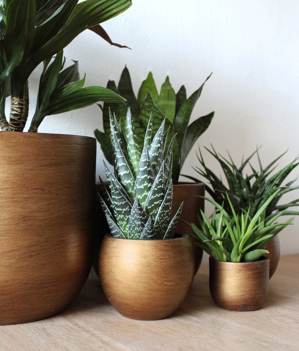 Capi Europe - Bloempot Bol Retro - 23x21 - Goud - Bloempot Voor Binnen - BRTG134 5 Capi Europe - Bloempot Bol Retro - 23x21 - Goud - Bloempot Voor Binnen - BRTG134 - Afbeelding 5