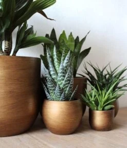 Capi Europe - Bloempot Bol Retro XL - 42x41 - Goud - Bloempot Voor Binnen - Opening ⌀36 - RTG933 -Tuinwinkel Voor Buitenartikelen 1024x1200 3