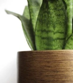 Capi Europe - Bloempot Bol Retro XL - 42x41 - Goud - Bloempot Voor Binnen - Opening ⌀36 - RTG933 -Tuinwinkel Voor Buitenartikelen 1061x1200 1