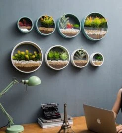 Ronde Muur Plantenbak Zwart - Decoratie - Planten - Interieur - Bloemen - Woondecoratie - Muurbekleding - 9 Ronde Muur Plantenbak Zwart - Decoratie - Planten - Interieur - Bloemen - Woondecoratie - Muurbekleding - -Tuinwinkel Voor Buitenartikelen 1097x1200 1