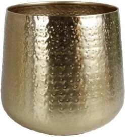 Gina Da - Bloempot - Karakter - Goud - Metaal - 15 Cm Hoog -Tuinwinkel Voor Buitenartikelen 1098x1200 2