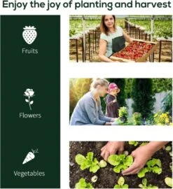 Tunnelkas - Tuinkas - Kweekkas - Broeikas - Kweektent - Kas - 200 X 100 X 80 Cm - Transparant 12 Tunnelkas - Tuinkas - Kweekkas - Broeikas - Kweektent - Kas - 200 X 100 X 80 Cm - Transparant -Tuinwinkel Voor Buitenartikelen 1098x1200