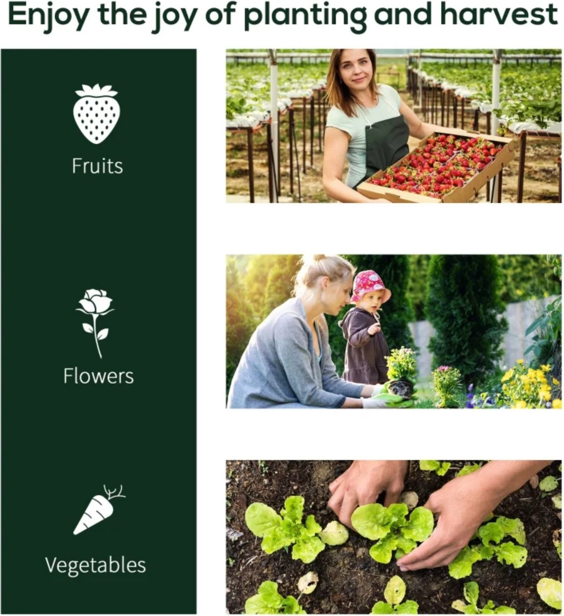 Tunnelkas - Tuinkas - Kweekkas - Broeikas - Kweektent - Kas - 200 X 100 X 80 Cm - Transparant 4 Tunnelkas - Tuinkas - Kweekkas - Broeikas - Kweektent - Kas - 200 X 100 X 80 Cm - Transparant - Afbeelding 4