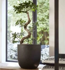 Capi Europe - Bloempot Bol Smooth NL - 35x34 - Zwart - Voor Binnen En Buiten - KBL932 22 Capi Europe - Bloempot Bol Smooth NL - 35x34 - Zwart - Voor Binnen En Buiten - KBL932 -Tuinwinkel Voor Buitenartikelen 1116x1200 1