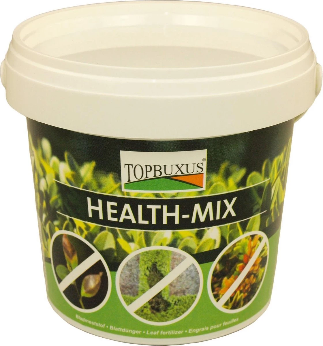 Topbuxus Buxus Health Mix 1 Topbuxus Buxus Health Mix