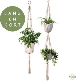 Plantenhanger Macrame Set Van 2 - Plantenhanger Met Ruimte Voor 3 Potten - Luxe Gevlochten Touw 100% Katoen - Duurzaam - Plantenbakken - Bloempotten - Macramé Stijl Hanger Voor Bloempotten - Hangpot - Fienosa 8 Plantenhanger Macrame Set Van 2 - Plantenhanger Met Ruimte Voor 3 Potten - Luxe Gevlochten Touw 100% Katoen - Duurzaam - Plantenbakken - Bloempotten - Macramé Stijl Hanger Voor Bloempotten - Hangpot - Fienosa -Tuinwinkel Voor Buitenartikelen 1131x1200 2
