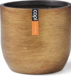 Capi Europe - Bloempot Bol Retro - 14x13 - Goud - Bloempot Voor Binnen - BRTG132 -Tuinwinkel Voor Buitenartikelen 1131x1200 3