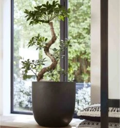 Capi Europe - Bloempot Bol Smooth NL - 43x41 - Zwart - Voor Binnen En Buiten - KBL933 19 Capi Europe - Bloempot Bol Smooth NL - 43x41 - Zwart - Voor Binnen En Buiten - KBL933 -Tuinwinkel Voor Buitenartikelen 1132x1200 15