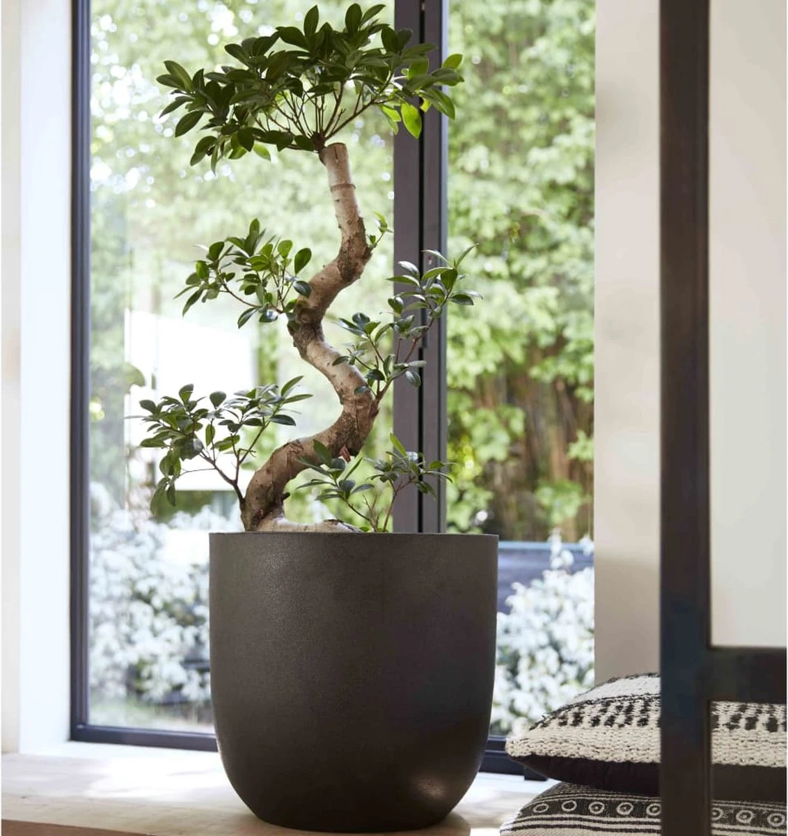 Capi Europe - Bloempot Bol Smooth NL - 43x41 - Zwart - Voor Binnen En Buiten - KBL933 7 Capi Europe - Bloempot Bol Smooth NL - 43x41 - Zwart - Voor Binnen En Buiten - KBL933 - Afbeelding 7