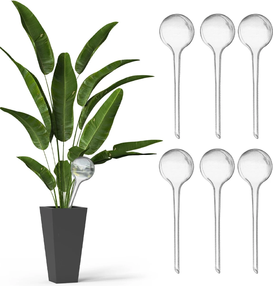 Waterdruppelaar Voor Planten - Irrigatiesysteem- Waterbol - Druppelsysteem - Watergeefsysteem Voor Kamerplanten - Plantenwatergever -6 Stuks - Transparant 1 Waterdruppelaar Voor Planten - Irrigatiesysteem- Waterbol - Druppelsysteem - Watergeefsysteem Voor Kamerplanten - Plantenwatergever -6 Stuks - Transparant