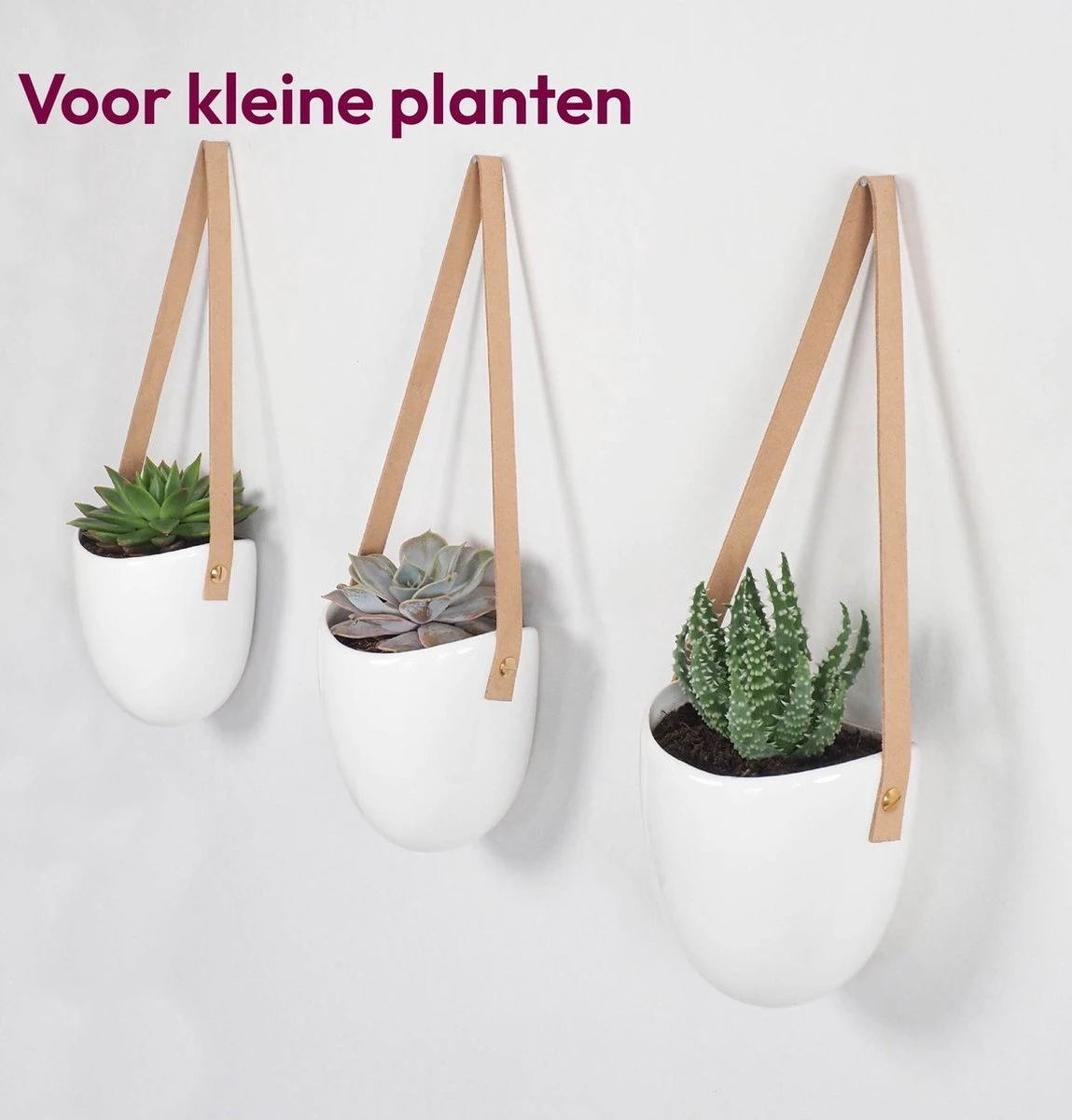 Gadgy Plantenhanger Keramiek - Set Van 3 - Hangpot Van Wit Steen - Hangende Bloempot Plantenpot - Met 3 Verschillende Koorden - 12x11x9.5CM 4 Gadgy Plantenhanger Keramiek - Set Van 3 - Hangpot Van Wit Steen - Hangende Bloempot Plantenpot - Met 3 Verschillende Koorden - 12x11x9.5CM - Afbeelding 4
