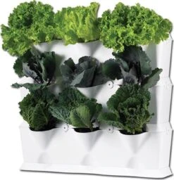 Minigarden Vertical Verticale Tuin - Wit -Tuinwinkel Voor Buitenartikelen 1157x1200