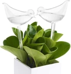 Luxe Planten Waterdruppelaar - Waterbol Vogel - Watergever - Watergeefsysteem Voor Planten & Bloemen - 200ML - Set Van 2 5 Luxe Planten Waterdruppelaar - Waterbol Vogel - Watergever - Watergeefsysteem Voor Planten & Bloemen - 200ML - Set Van 2 -Tuinwinkel Voor Buitenartikelen 1160x1200