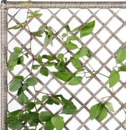 Casaria Polyrattan Bloembak – 3 Bakken Klimophek - Crème -Tuinwinkel Voor Buitenartikelen 1163x1200 2