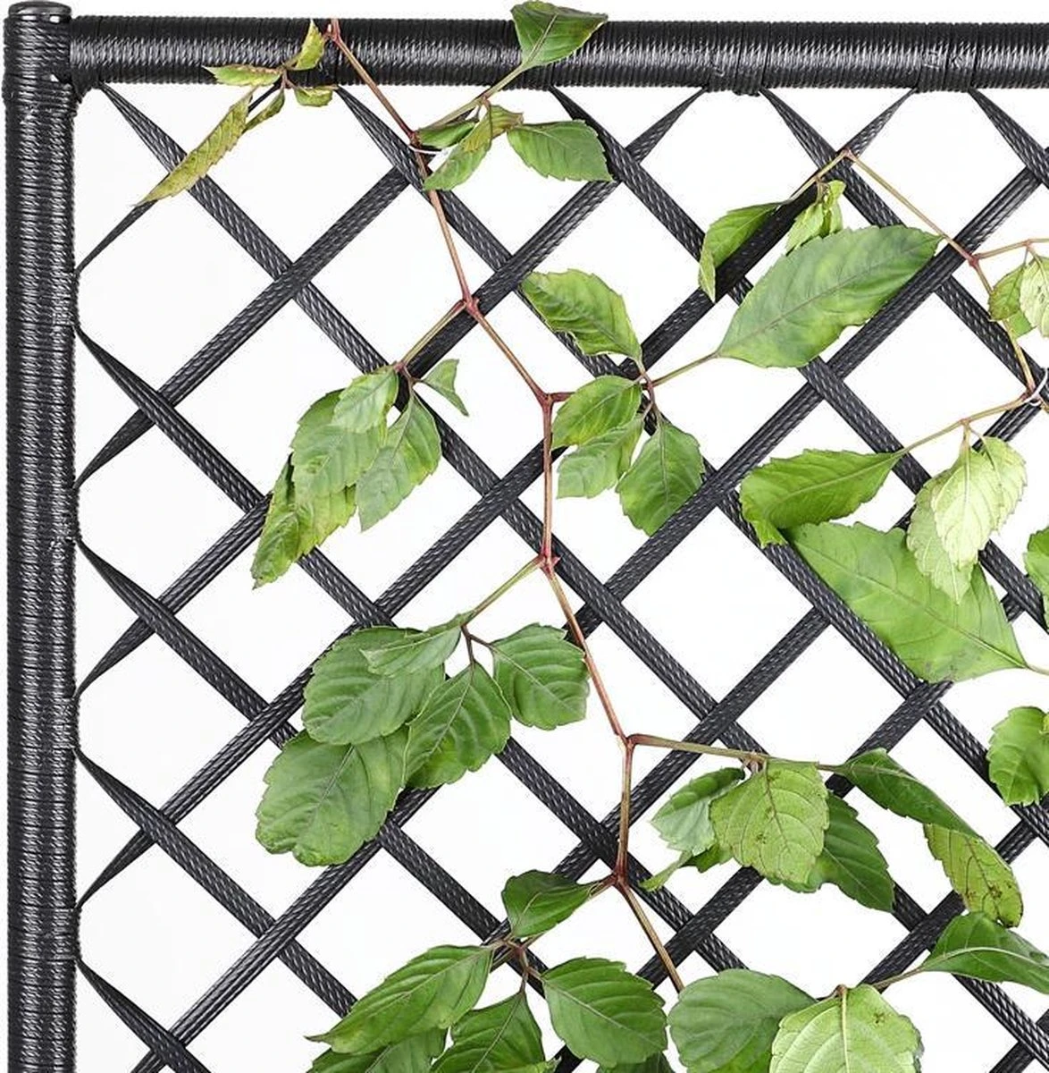 Casaria Polyrattan Plantenbak - Met Klimoprek - 3 Bakken Zwart 5 Casaria Polyrattan Plantenbak - Met Klimoprek - 3 Bakken Zwart - Afbeelding 5