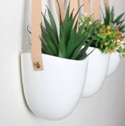 Merkloos Plantenhanger Keramiek – Set Van 3 – Steen- Hangpot – Hangende Bloempot Plantenpot Met 3 Verschillende Koorden – 12 X 11 X 9.5 Cm 8 Merkloos Plantenhanger Keramiek – Set Van 3 – Steen- Hangpot – Hangende Bloempot Plantenpot Met 3 Verschillende Koorden – 12 X 11 X 9.5 Cm -Tuinwinkel Voor Buitenartikelen 1188x1200 6