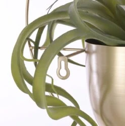 Mica Decorations Dexter Bloempot Wand - L34 X B14 X H34 Cm - Goud 8 Mica Decorations Dexter Bloempot Wand - L34 X B14 X H34 Cm - Goud -Tuinwinkel Voor Buitenartikelen 1189x1200 8