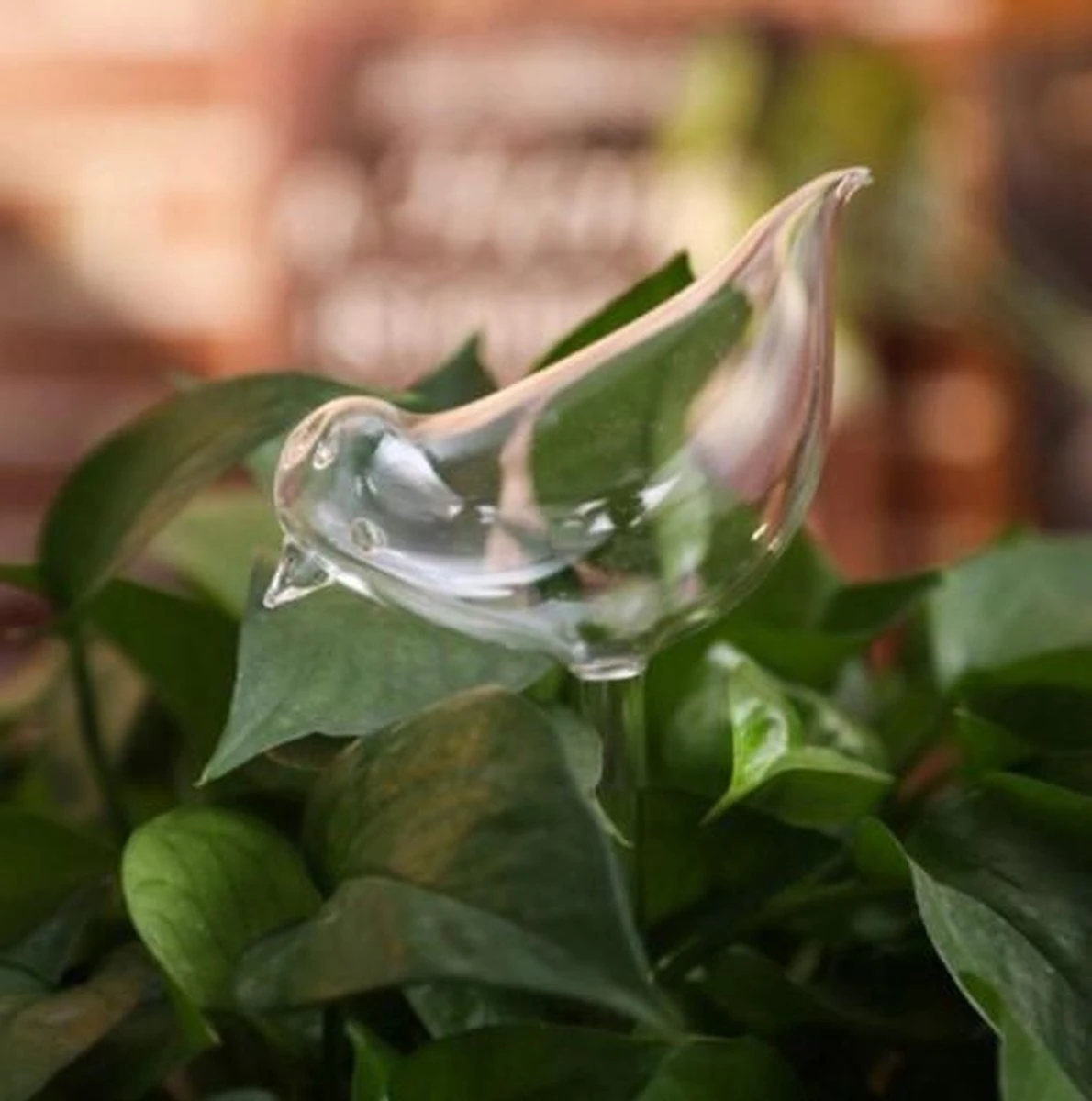 Waterdruppelaar Planten - Vorm Vogel - Set Van 3 Kunststof Druppelaars - 25cm Lengte - Genoeg Water Tijdens Je Vakantie 3 Waterdruppelaar Planten - Vorm Vogel - Set Van 3 Kunststof Druppelaars - 25cm Lengte - Genoeg Water Tijdens Je Vakantie - Afbeelding 3