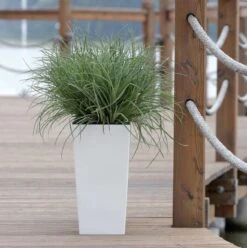 Prosperplast Kunststof Urbi Bloempot/plantenpot Met Binnenpot Wit 32 X 32 X 61 Cm - 21/49 Liter - Hoge Vierkante Bloempotten -Tuinwinkel Voor Buitenartikelen 1194x1200 1