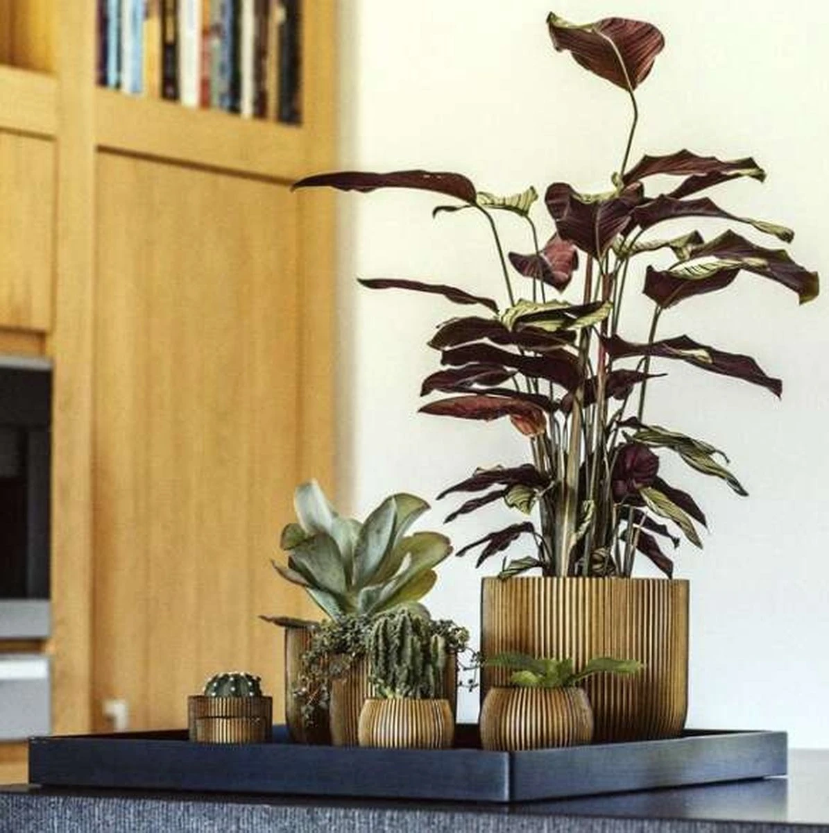 Capi Europe - Bloempot Bol Groove XL - 33x35 - Goud - Bloempot Voor Binnen - Opening ⌀28 - GVGB932 8 Capi Europe - Bloempot Bol Groove XL - 33x35 - Goud - Bloempot Voor Binnen - Opening ⌀28 - GVGB932 - Afbeelding 8