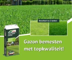 DCM Vital-Green Gazon - Gazonmest - Gazonmeststof Met MINIGRAN® Technology - 75m2 - 3 Kg -Tuinwinkel Voor Buitenartikelen 1200x1000