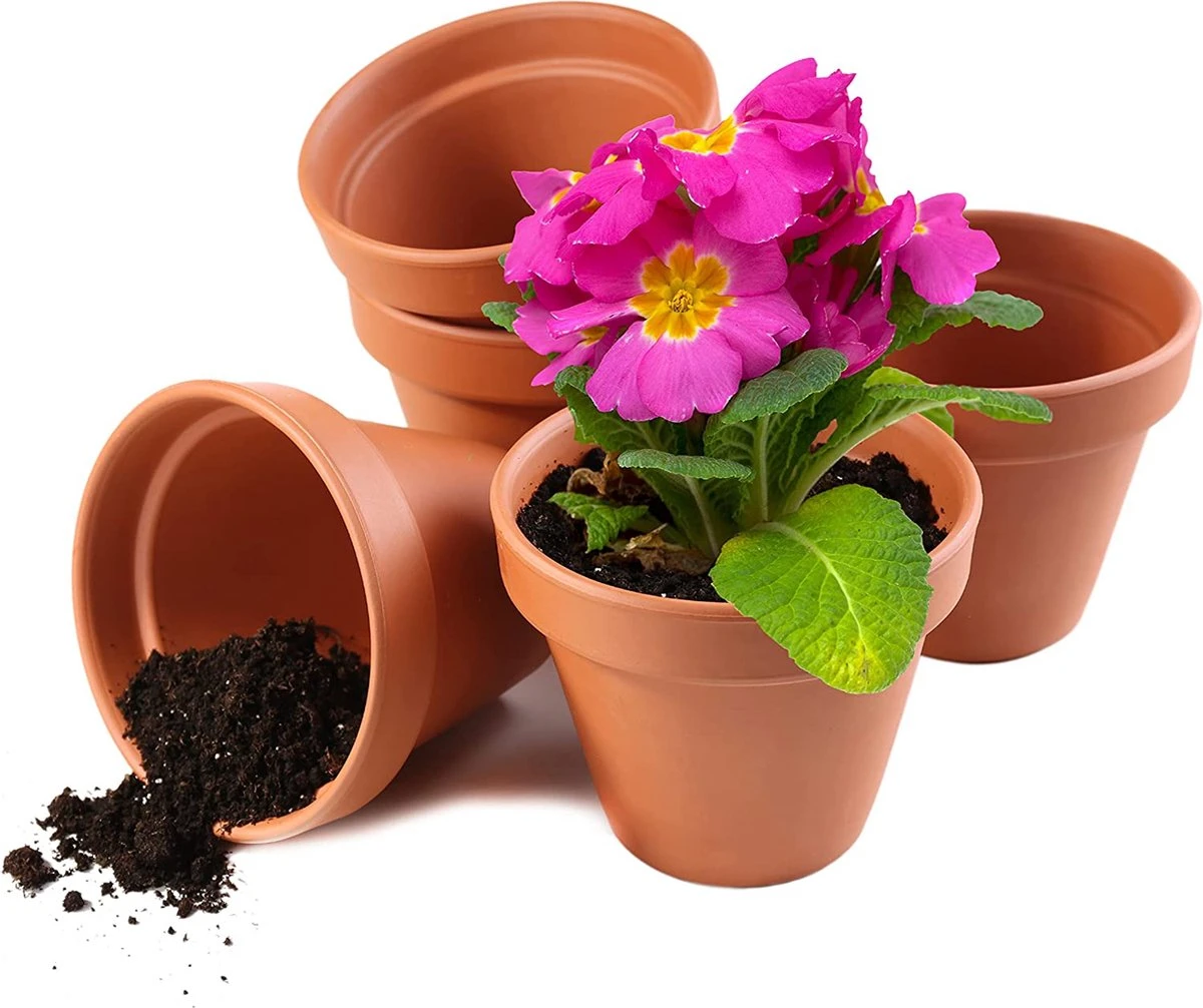 Garden Mania - 12 Mini Terracotta Keramische Klei Bloempotten Met Afvoergat, 8cm 1 Garden Mania - 12 Mini Terracotta Keramische Klei Bloempotten Met Afvoergat, 8cm