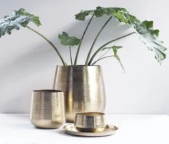 Gina Da - Bloempot - Karakter - Goud - Metaal - 15 Cm Hoog -Tuinwinkel Voor Buitenartikelen 1200x1027 5