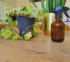 24DOTS Living Plantenspuit | 300 Ml Bruin Amber Glas | Plantensproeier | Plantenspuit Binnen | Waterverstuiver | Vernevelaar -Tuinwinkel Voor Buitenartikelen 1200x1051