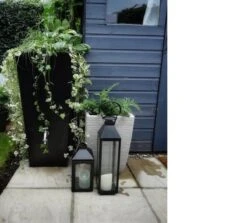 Prestige Manhattan 100L Regenton Zwart (incl. Kraantje) 16 Prestige Manhattan 100L Regenton Zwart (incl. Kraantje) -Tuinwinkel Voor Buitenartikelen 1200x1083 1