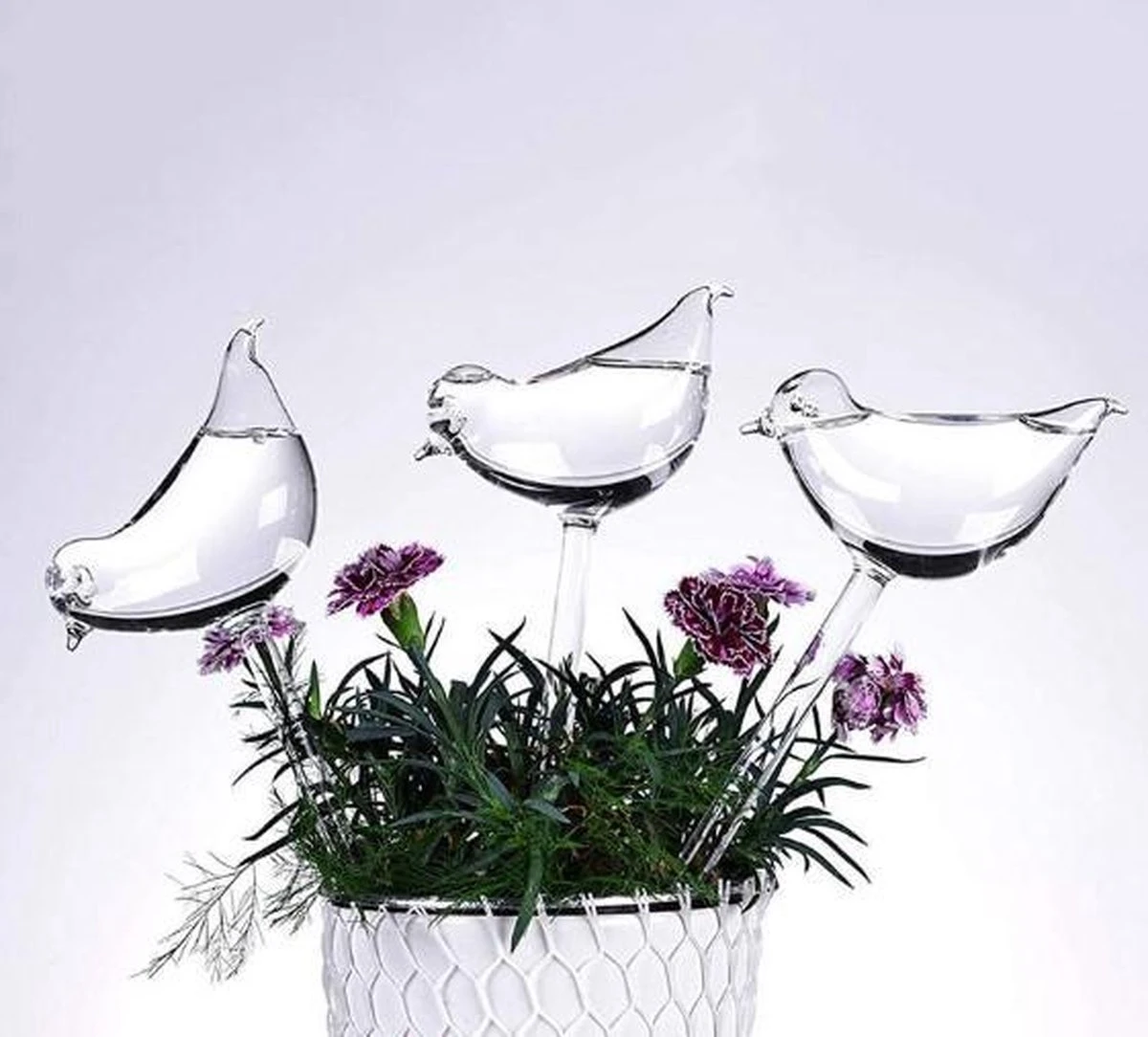 Waterdruppelaar Planten - Vorm Vogel - Set Van 3 Kunststof Druppelaars - 25cm Lengte - Genoeg Water Tijdens Je Vakantie 2 Waterdruppelaar Planten - Vorm Vogel - Set Van 3 Kunststof Druppelaars - 25cm Lengte - Genoeg Water Tijdens Je Vakantie - Afbeelding 2