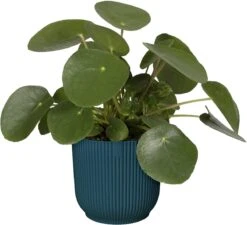 Elho Vibes Fold Rond 22 - Bloempot Voor Binnen - Ø 22.0 X H 20.2 Cm - Diepblauw -Tuinwinkel Voor Buitenartikelen 1200x1094 3