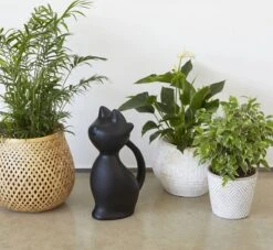 Balvi Meow! Kat Gieter - Zwart 10 Balvi Meow! Kat Gieter - Zwart -Tuinwinkel Voor Buitenartikelen 1200x1103