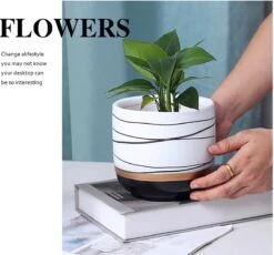 Bloempotten Binnen - Keramiek - Gouden Rand - Bloempot Buiten - Afvoergat 24 Cm - Groen – Groot 19 Bloempotten Binnen - Keramiek - Gouden Rand - Bloempot Buiten - Afvoergat 24 Cm - Groen – Groot -Tuinwinkel Voor Buitenartikelen 1200x1118 2