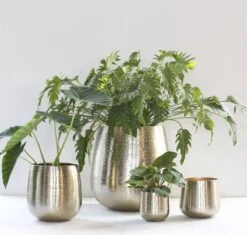 Gina Da - Bloempot - Karakter - Goud - Metaal - 15 Cm Hoog -Tuinwinkel Voor Buitenartikelen 1200x1142 1