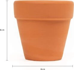 Garden Mania - 12 Mini Terracotta Keramische Klei Bloempotten Met Afvoergat, 8cm 11 Garden Mania - 12 Mini Terracotta Keramische Klei Bloempotten Met Afvoergat, 8cm -Tuinwinkel Voor Buitenartikelen 1200x1146 8