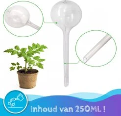 Summer Spark Waterdruppelaar Voor Planten 6 Stuks Transparant – 27 CM X 8 CM – 250 ML – Automatisch Watergeefsysteem Voor Kamerplanten – Planten Watergever Met Druppelsysteem – Waterbol -Tuinwinkel Voor Buitenartikelen 1200x1153