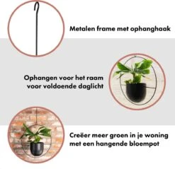 QUVIO Bloempot Hangend / Bloempotten Voor Binnen / Bloempotten / Bloempot Binnen / Bloempot Met Ophanghaak - Metaal 14 QUVIO Bloempot Hangend / Bloempotten Voor Binnen / Bloempotten / Bloempot Binnen / Bloempot Met Ophanghaak - Metaal -Tuinwinkel Voor Buitenartikelen 1200x1163 5