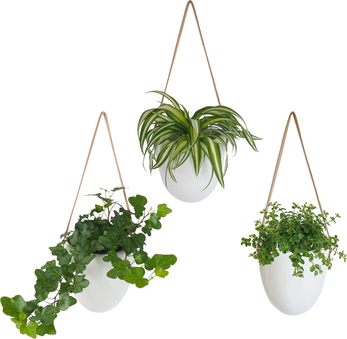 Gadgy Plantenhanger Keramiek - Set Van 3 - Hangpot Van Wit Steen - Hangende Bloempot Plantenpot - Met 3 Verschillende Koorden - 12x11x9.5CM 1 Gadgy Plantenhanger Keramiek - Set Van 3 - Hangpot Van Wit Steen - Hangende Bloempot Plantenpot - Met 3 Verschillende Koorden - 12x11x9.5CM