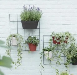 Elho Loft Urban Green Wall Rek 48 - Accessoires Voor Buiten - Ø 47.3 X H 59.0 Cm - Zwart/Living Black 12 Elho Loft Urban Green Wall Rek 48 - Accessoires Voor Buiten - Ø 47.3 X H 59.0 Cm - Zwart/Living Black -Tuinwinkel Voor Buitenartikelen 1200x1173 3