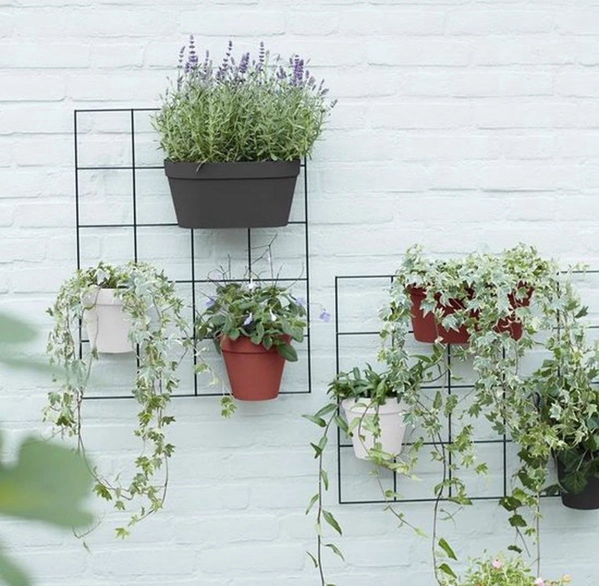 Elho Loft Urban Green Wall Rek 48 - Accessoires Voor Buiten - Ø 47.3 X H 59.0 Cm - Zwart/Living Black 3 Elho Loft Urban Green Wall Rek 48 - Accessoires Voor Buiten - Ø 47.3 X H 59.0 Cm - Zwart/Living Black - Afbeelding 3