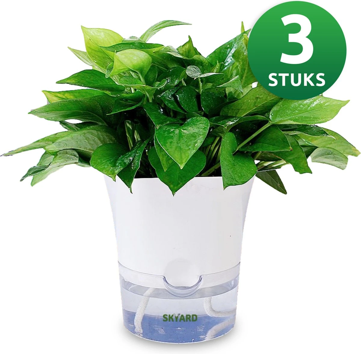 SKYARD® 3 Stuks Zelfwaterende Bloempot Maat M – Milieuvriendelijk Watergeefsysteem Kamerplanten – Zelfwatergevende Pot – Bloempot Met Waterreservoir – Selfwatering Pot – Wit 1 SKYARD® 3 Stuks Zelfwaterende Bloempot Maat M – Milieuvriendelijk Watergeefsysteem Kamerplanten – Zelfwatergevende Pot – Bloempot Met Waterreservoir – Selfwatering Pot – Wit