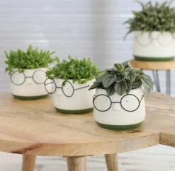 2x Bloempot Met Gezicht - Ø8 X H6,5 Cm - Bloempotten Voor Binnen Met Bril/Face/Hoofd 9 2x Bloempot Met Gezicht - Ø8 X H6,5 Cm - Bloempotten Voor Binnen Met Bril/Face/Hoofd -Tuinwinkel Voor Buitenartikelen 1200x1178 2