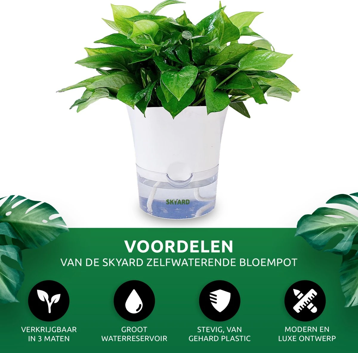 SKYARD® 3 Stuks Zelfwaterende Bloempot Maat M – Milieuvriendelijk Watergeefsysteem Kamerplanten – Zelfwatergevende Pot – Bloempot Met Waterreservoir – Selfwatering Pot – Wit 9 SKYARD® 3 Stuks Zelfwaterende Bloempot Maat M – Milieuvriendelijk Watergeefsysteem Kamerplanten – Zelfwatergevende Pot – Bloempot Met Waterreservoir – Selfwatering Pot – Wit - Afbeelding 9