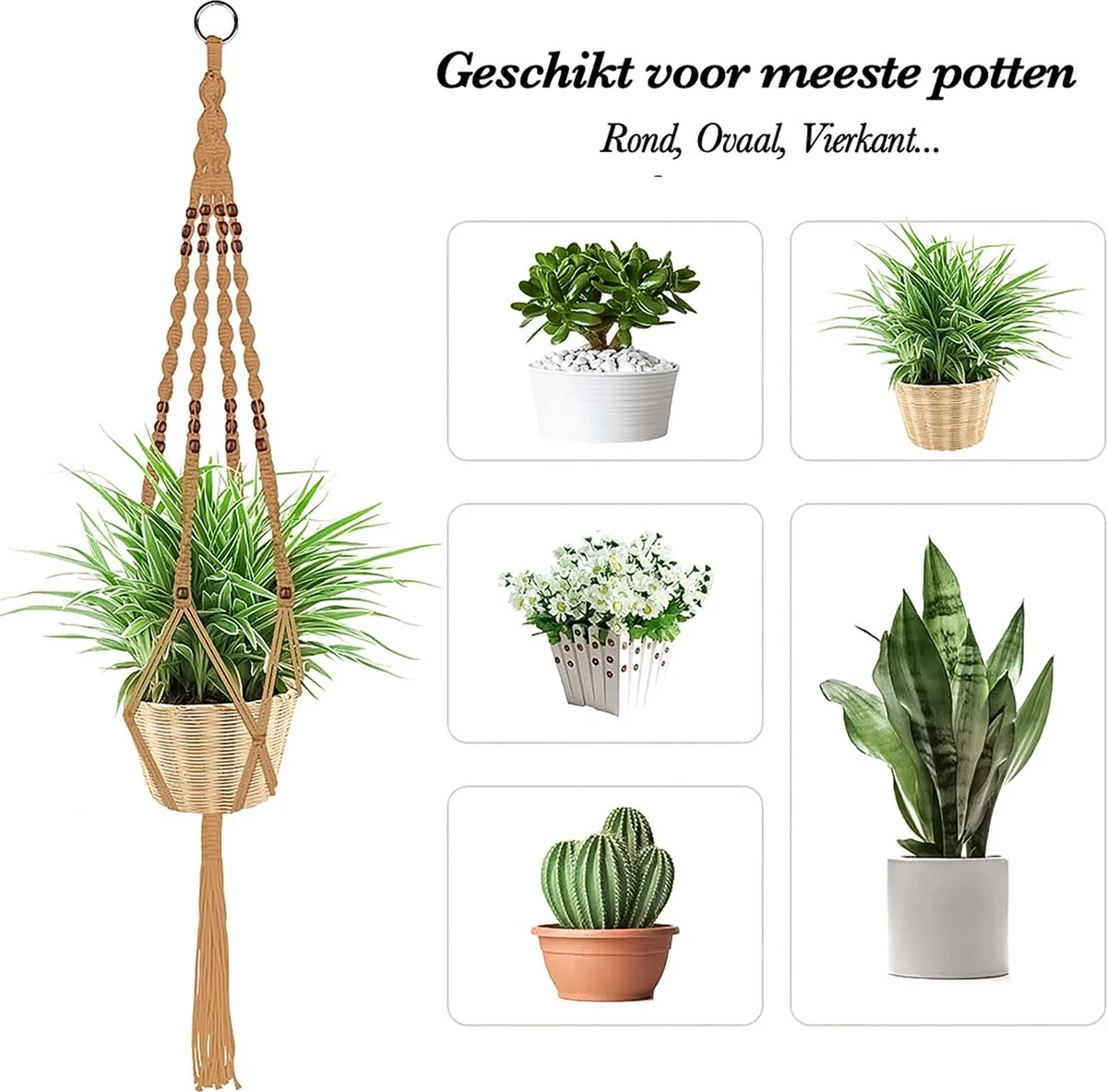 5 Stuks Jute Macrame Plantenhangers - Boho Handgeweven Katoen Hangpot Voor Binnen/Buiten - Hangende Bloempot Met Kralen - Macramé Touw/Koord Hangplant Houder - Bohemian Wandhanger Decoratie - Plant Hanger - Verticale Tuin Bloempothouder Planthanger 4 5 Stuks Jute Macrame Plantenhangers - Boho Handgeweven Katoen Hangpot Voor Binnen/Buiten - Hangende Bloempot Met Kralen - Macramé Touw/Koord Hangplant Houder - Bohemian Wandhanger Decoratie - Plant Hanger - Verticale Tuin Bloempothouder Planthanger - Afbeelding 4