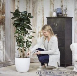 Elho Aqua Care 9 - Accessoires Voor Binnenaccessoires - Ø 17.3 X H 32.0 Cm - Transparant/Transparant -Tuinwinkel Voor Buitenartikelen 1200x1193 7