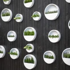 Langwerpige Witte Bloempot Van Naturn Living | Plantenbak | Bloempotten Voor Binnen En Buiten | Wit 6 Langwerpige Witte Bloempot Van Naturn Living | Plantenbak | Bloempotten Voor Binnen En Buiten | Wit -Tuinwinkel Voor Buitenartikelen 1200x1195 7